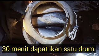 full strike ikan rainbow Runner ikan nya naik ke permukaan