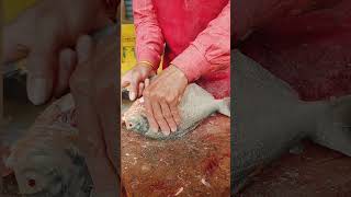 live fish cutting | fastest fish cutting skill | amazing fish cutting skills | fish cutting skills