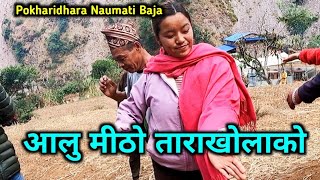 Pure WOW Dance | आलु मीठो ताराखोलाको | Pokharidhara Naumati Baja