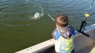 Declan and a nice little eater channel cat