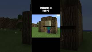 #minecraft #ohio 💀#minecraftinohio #plslikesubscribe