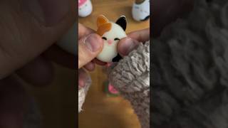 Squishmallow Gummies! #aesthetic #cute #relaxing #love #fun #unboxing #asmr #food