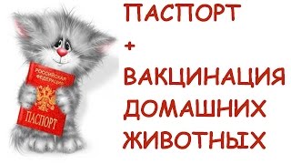 Прививки для кота\ВАКЦИНАЦИЯ ДОМАШНИХ ЖИВОТНЫХ