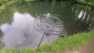 Rockbourne trout fishery, trout aerobatics, another great day Rockbourne.