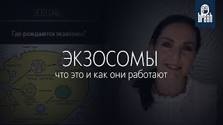 Экзосомы: что это и как они работают