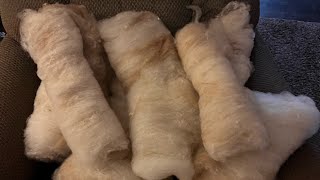 Using an electric drum carder.  Relaxing ambient sounds. #wool, #sheepswool, #processingwool,#asmr,