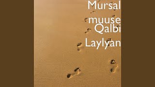 Qalbi Laylyan