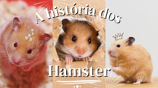 A história dos Hamsters, São proibidos no Brasil?@natugeooficial