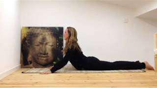 YIN YOGA ~ Seal pose