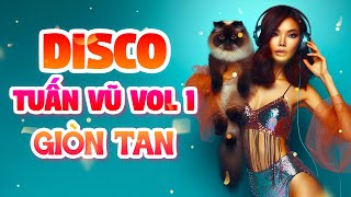 Liên Khúc Tuấn Vũ | Lk Tuấn Vũ Chất Lượng Cao Nhất | Disco Hải Ngoại Hay Nhất