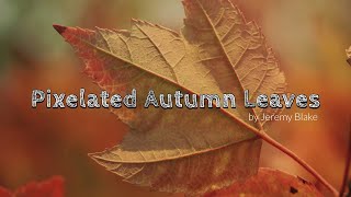 🔴 Pixelated Autumn Leaves by Jeremy Blake  | Black Screen | 8 Hours Relaxing Music | Ambient | Calm