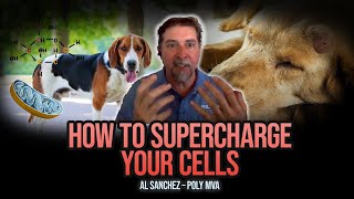 Mitochondrial Health: How PolyMVA Supports Humans & Pets | Al Sanchez