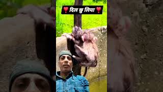 heart touching video 😭😭😭 #loveanimals 💕❤️💕#monkey #love #like #youtubeshort