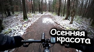 ОСЕННЯЯ ПОКАТУШКА В ЛЕС / ЛИПОВАЯ ГОРА (ЭКОЛОГИЧЕСКАЯ ТРОПА)