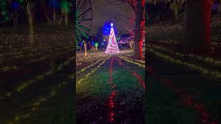 Holiday lights @lincolnparkzoo  #lights #christmas #chicago #chicagotravel #youtubeshorts #youtube