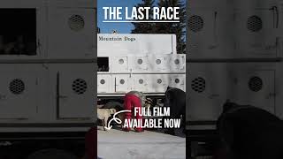 The Last Race #sleddog #documentary #race #dog