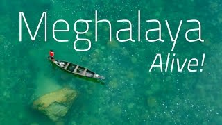 Meghalaya Alive! The Wettest Region on Earth.