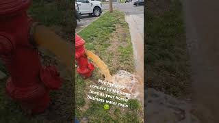 Fire hydrant Flush (nasty)