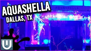 Let's Hang at Aquashella!