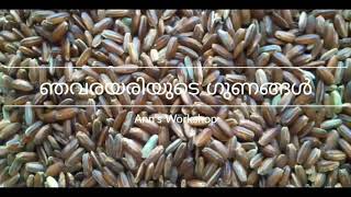 BENEFITS OF NJAVARAYARI (KERALA RED RICE)