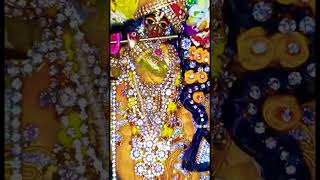 Krishna Basant Panchami Shringar #shorts #youtubeshorts #basantpanchmi