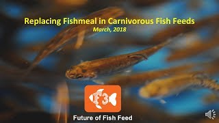 Replacing Fishmeal in Carnivorous Fish Feeds