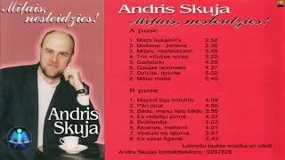 "Andris Skuja - Mīļais, nesteidzies!"