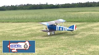 56. RAAFMAC ~ Paul's 1/3 scale Sopwith Pup biplane - Sun. 8/11/2020