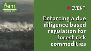 Enforcing a Due Diligence based regulation for forest risk commodities