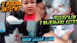 У Изюма энтерит😱| Выкинули детей  в дождь | Мини Бабай дома |#зоожиза