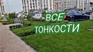 КАК ПОСЕЯТЬ ГАЗОН