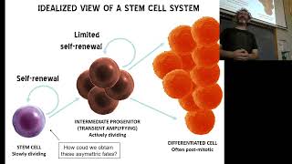 BCS.b_Stem Cells_prima parte