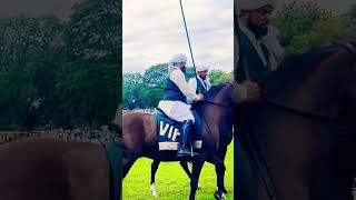 Horses#horsedance #horseracing #viralvideo