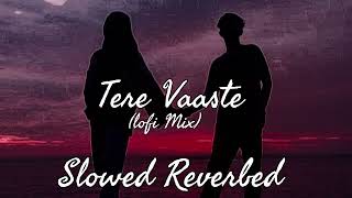 Tere Vaaste (Slowed + Reverbed) | Vicky kaushal, Sara Ali Khan | Lofi Mix