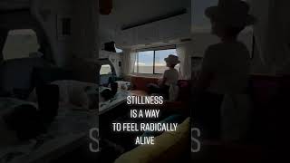 Stillness is a way to be RADICALLY ALIVE