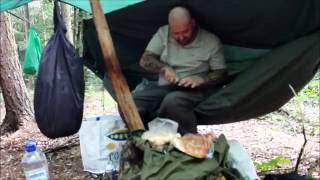 Woodland Camp and Versatility  of the Dutch Oven