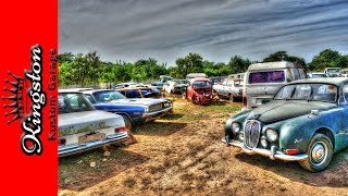 Classic Cars in a Field in Jamaica ( Jaguar, Benz, Challenger, Porsche, Morris, Mustang and More