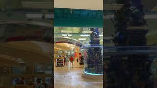 Aquarium in mall ll aquarium under the roof ll large aquarium i have seen so far ll beautiful fishes