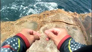 Caught Yellow Tail fish in Avoca Rocks NSW