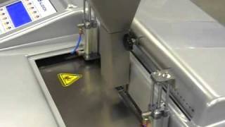 Layflat Bag Forming -Audion Elektro (Swissvac) Pandymatic with infeed guide