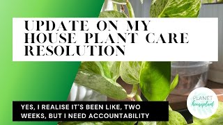 Update On House Plant Care Resolution