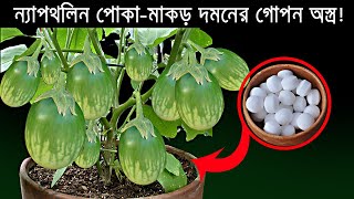 ন্যাপথলিন গাছের পোকা-মাকড় দমনের গোপন অস্ত্র  | 5 Unknown Uses Of Naphthalene.