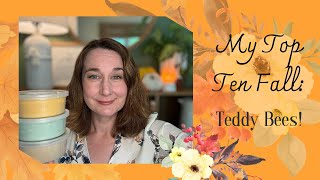 My Top Ten for Fall: Teddy Bees!