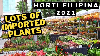 HORTI FILIPINA TOUR 2021 + IMPORTED PLANTS FROM HOLLAND & THAILAND