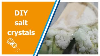 How to grow festive salt crystals