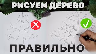 Как рисовать дерево правильно