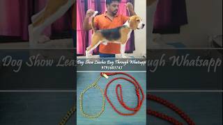 Best quality Dog Show Leash Buy online|Bhairavaa Show Leash Tirunelveli |Contact:97916 03745|#Shorts