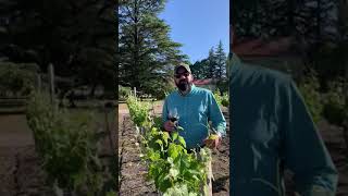 15 Second Winemaker Intro to Altocedro Malbec Año Cero