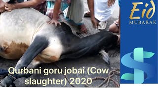 Qurbani goru jobai 2020 (Cow slaughter)