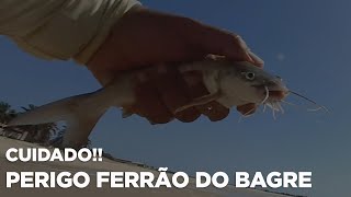 FERRÃO DO BAGRE!!!  PERIGO